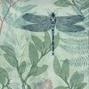 dragonflyy92